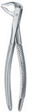 Tooth Extracting Forceps