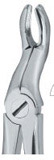 Tooth Extracting Forceps