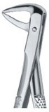 Tooth Extracting Forceps