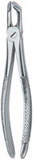 Tooth Extracting Forceps