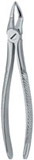 Tooth Extracting Forceps