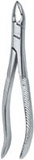 Tooth Extracting Forceps