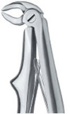 Tooth Extracting Forceps